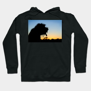 Silhouette Spinone Hoodie